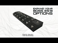 Extra switches for Boss ES-8 - Otter Custom Design - External Switches Boss ES8