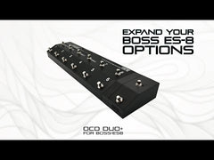 Extra switches for Boss ES-8 - Otter Custom Design - External Switches Boss ES8 